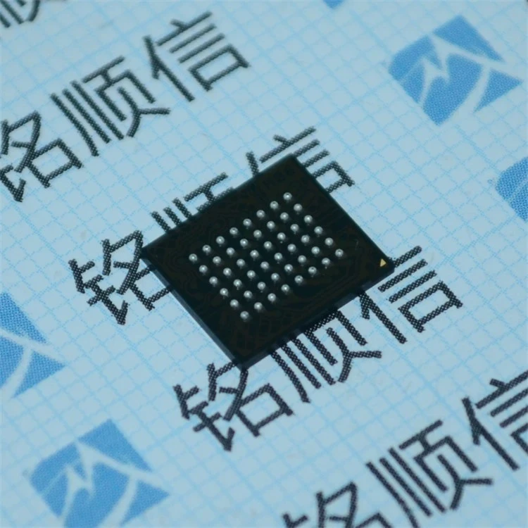 XCF32PFSG48C1